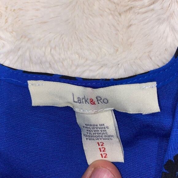 Lark & Ro Vintage Paisley Print Dress | Sz 12 - Picture 3 of 6